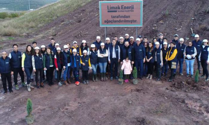 Limak’ın yeşil dönüşüm ormanları şimdi de Bursa’da kök salacak