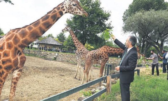 Bursa Hayvanat Bahçesi ziyarete kapatıldı