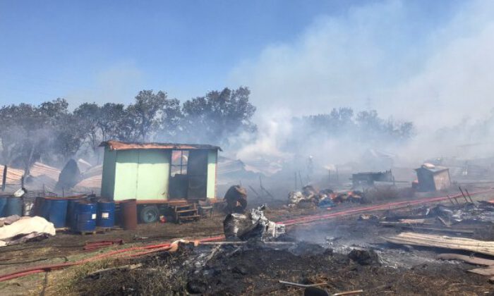 Bursa’da makilik alanda çıkan yangın ormana sıçradı