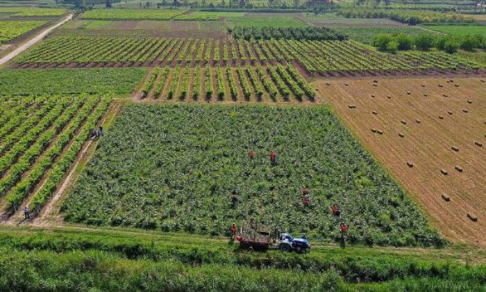 Çiftçi Kayıt Sistemi’ne başvuru süresi uzatıldı